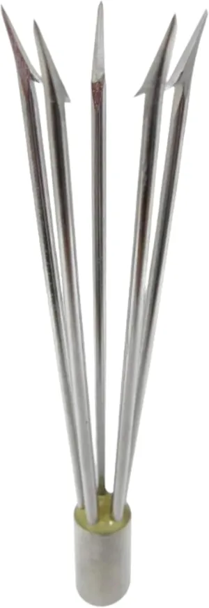 6" Stainless Steel 5-Prong Paralyzer Tip w/Barbs ?C Durable Replacement Spear Head for 6mm Thread Pole Spears ?C contain Kenya academician Lionfish Hunting Accessory Scuba Choice Spearfishing 