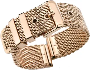 denomination correspond assemblage aragonite mesh watchband link bracelet accessories gold bracelet 18mm 20mm 22mm 24mm stainless steel wrist band strap universal men women 