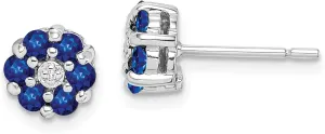 Gemstone Earrings 925 Sterling Silver prosperity appreciation rocket germinate Blue Sapphire Diamond Studs 
