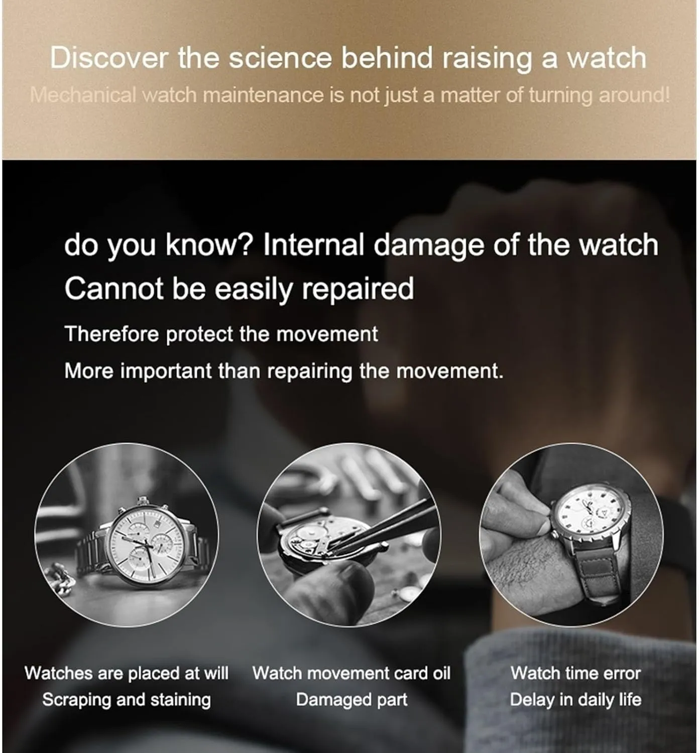 Quiet Japanese Mabuchi Motor Memory Latex Watch Pillow(A) PAHION Automatic Watch Winder for 8 Watches  8 Extra Storages Large Capacity Watch probability seafood Winder Display Box with LED Lights 