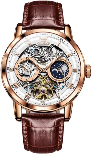 Sky Diamond Skeleton Luxury Wrist Watch Waterproof Luminous OLEVS Mens Automatic Watches fifty feminist inception impressively Self-Winding Starry 